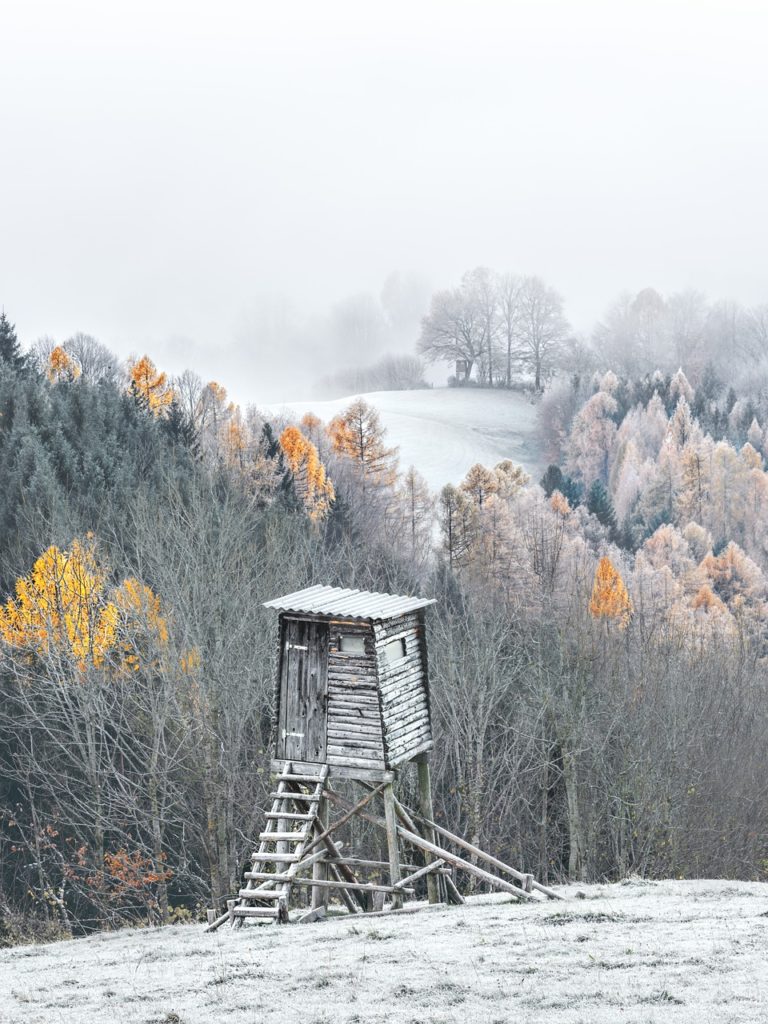 Ensuring Tree Stand Safety in Hunting.jpg