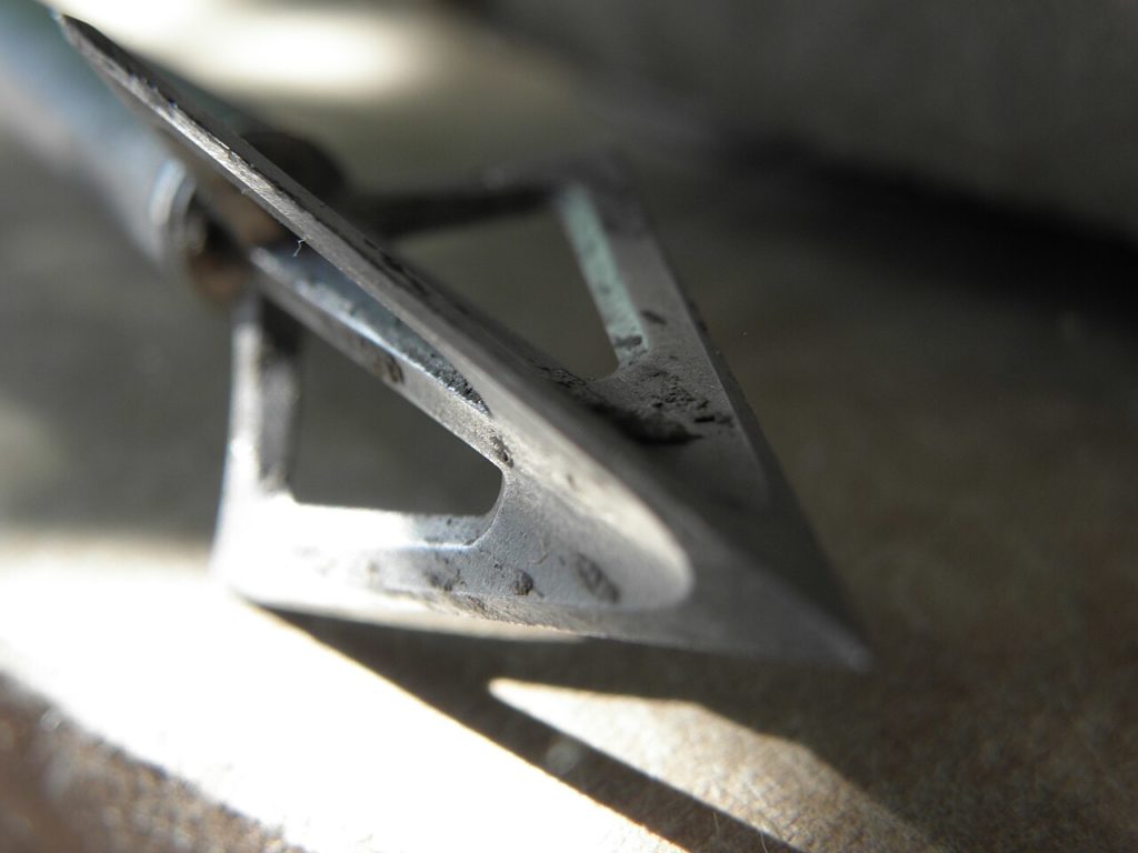 Unlock Precision: Choosing the Best Single Bevel Broadheads for Your Hunt