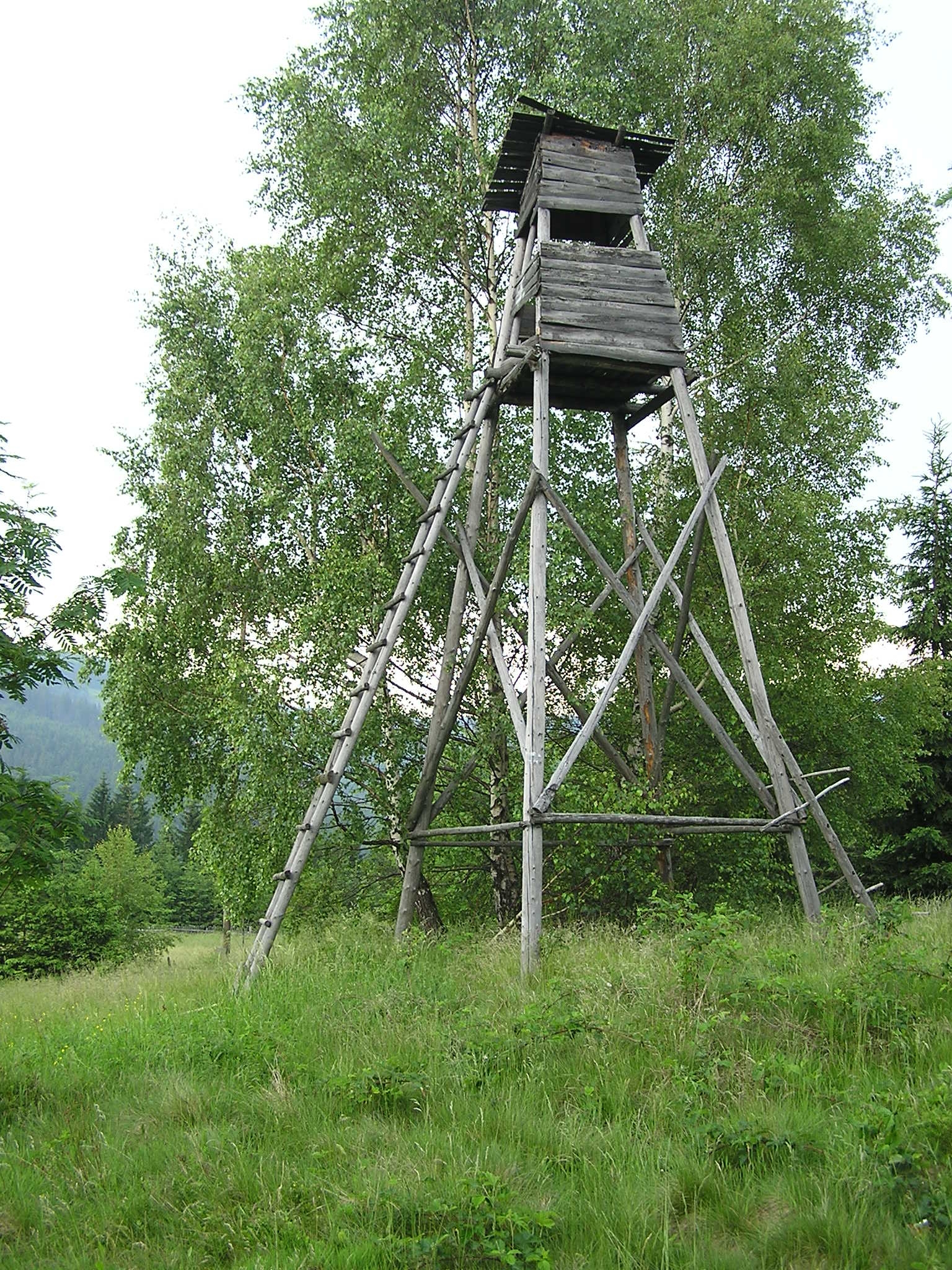 Climbing Tree Stand: The Ultimate Guide On How to Not make The Wrong ...